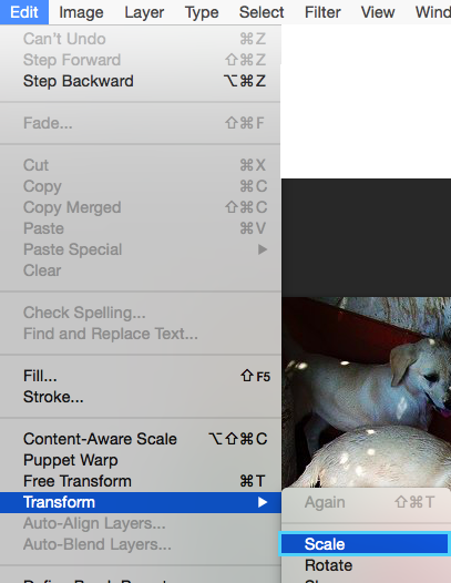 Cómo reducir el tamaño de un objeto dentro del lienzo en Photoshop: Edit > Transform > Scale