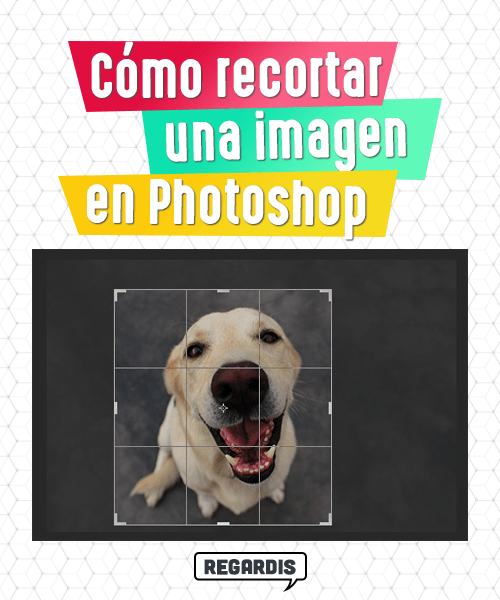 Cómo Recortar una Imagen en Photoshop